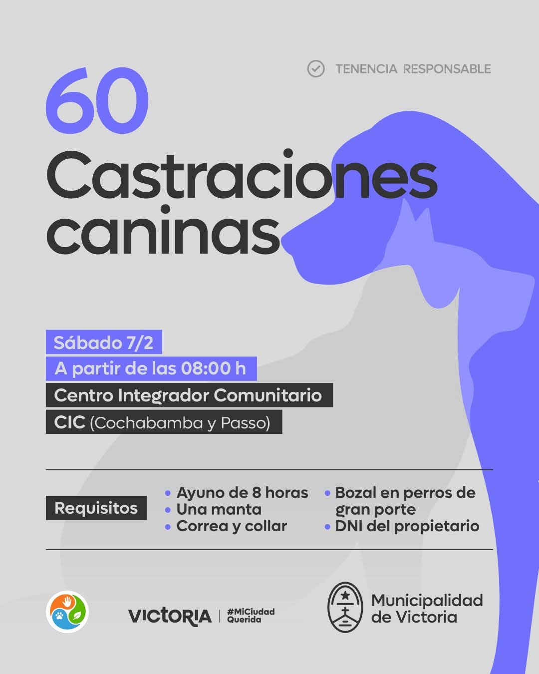 El sábado 7 de Febrero se van a realizar 60 Castraciones Caninas