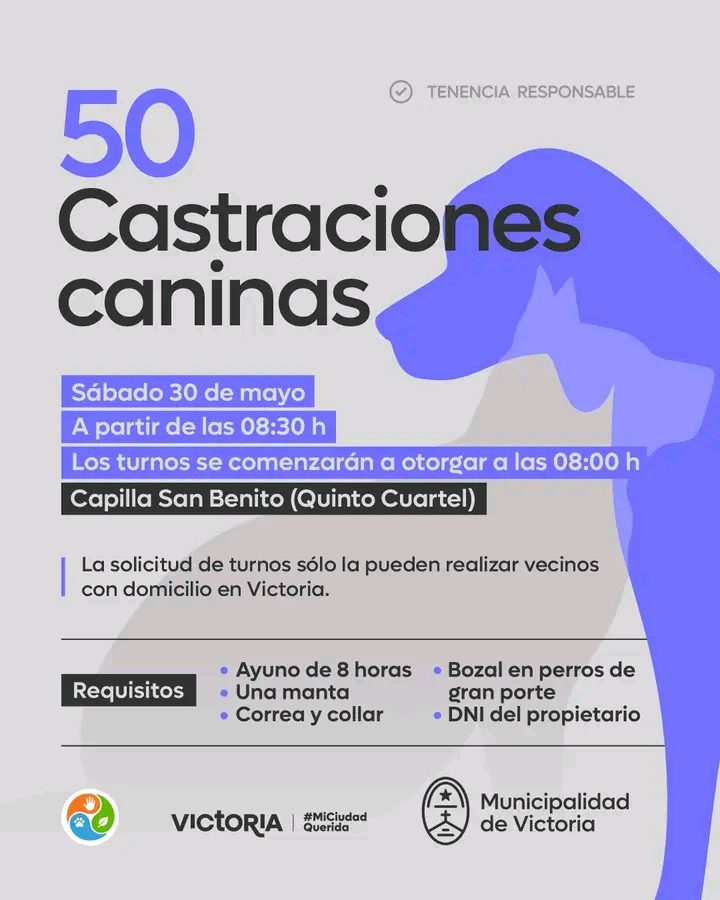 Castraciones caninas en el Quinto Cuartel