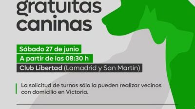 Castraciones caninas en el Club Libertad