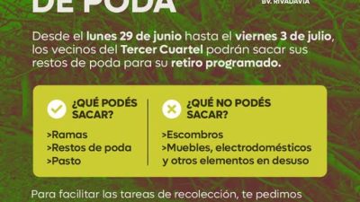 Limpieza de Restos de Poda en el Tercer Cuartel