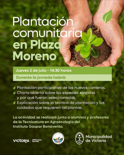 Plantación Comunitaria en Plaza Moreno