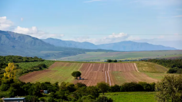 La Corte Suprema suspendió la derogación de la Ley de Tierras