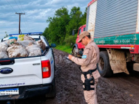 Incautaron 710 kilos de pescados en Gualeguaychú: el camión tenía la cámara frigorífica apagada