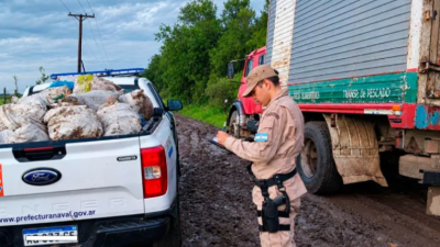 Incautaron 710 kilos de pescados en Gualeguaychú: el camión tenía la cámara frigorífica apagada