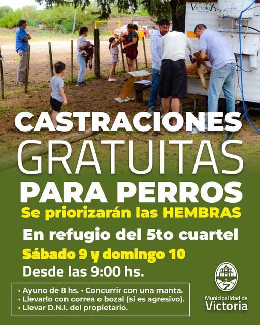 Castraciones a perras