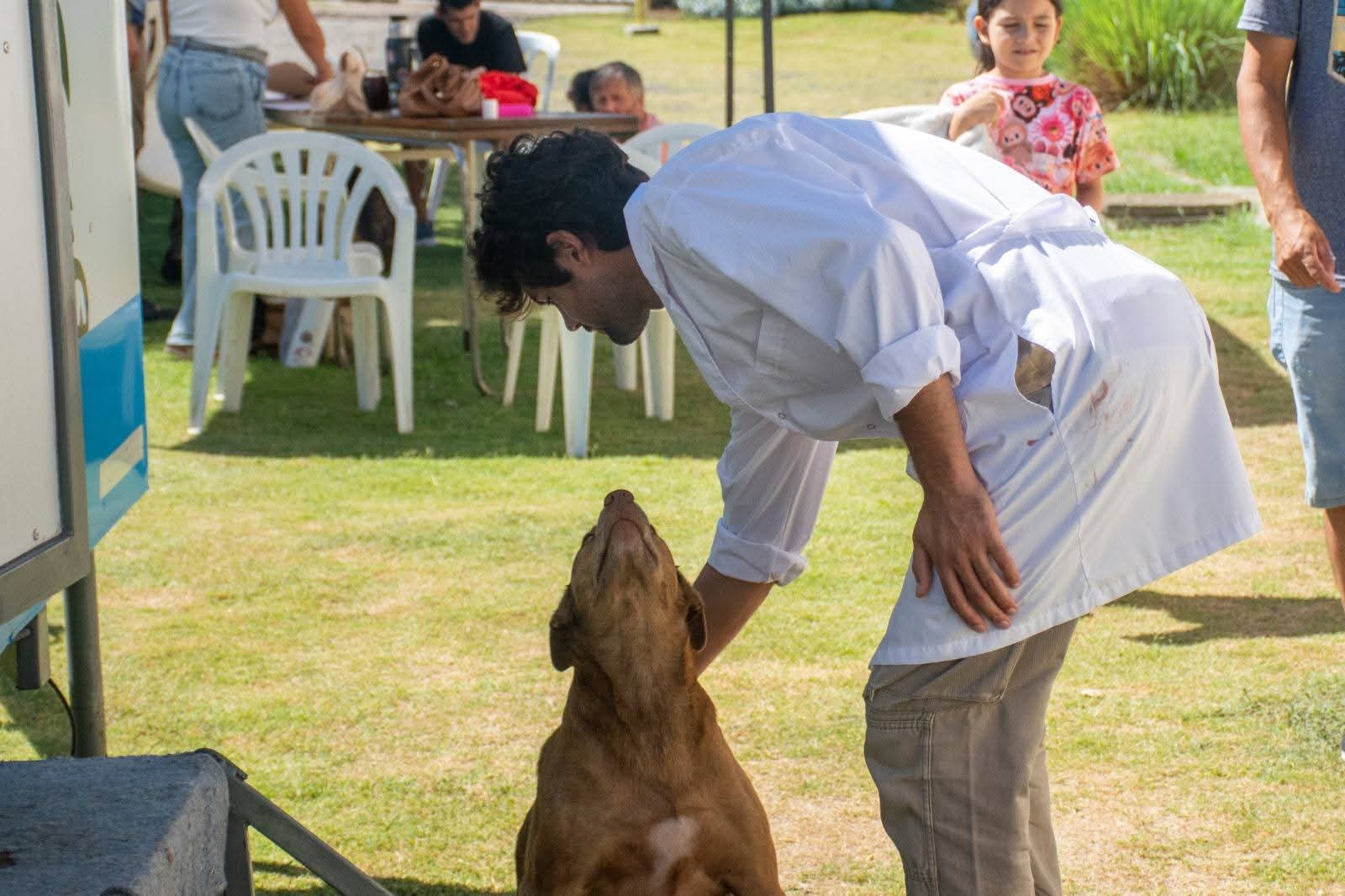 60 Castraciones Caninas