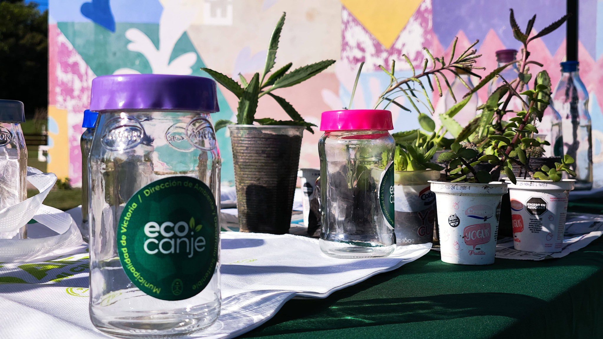 Eco Canje