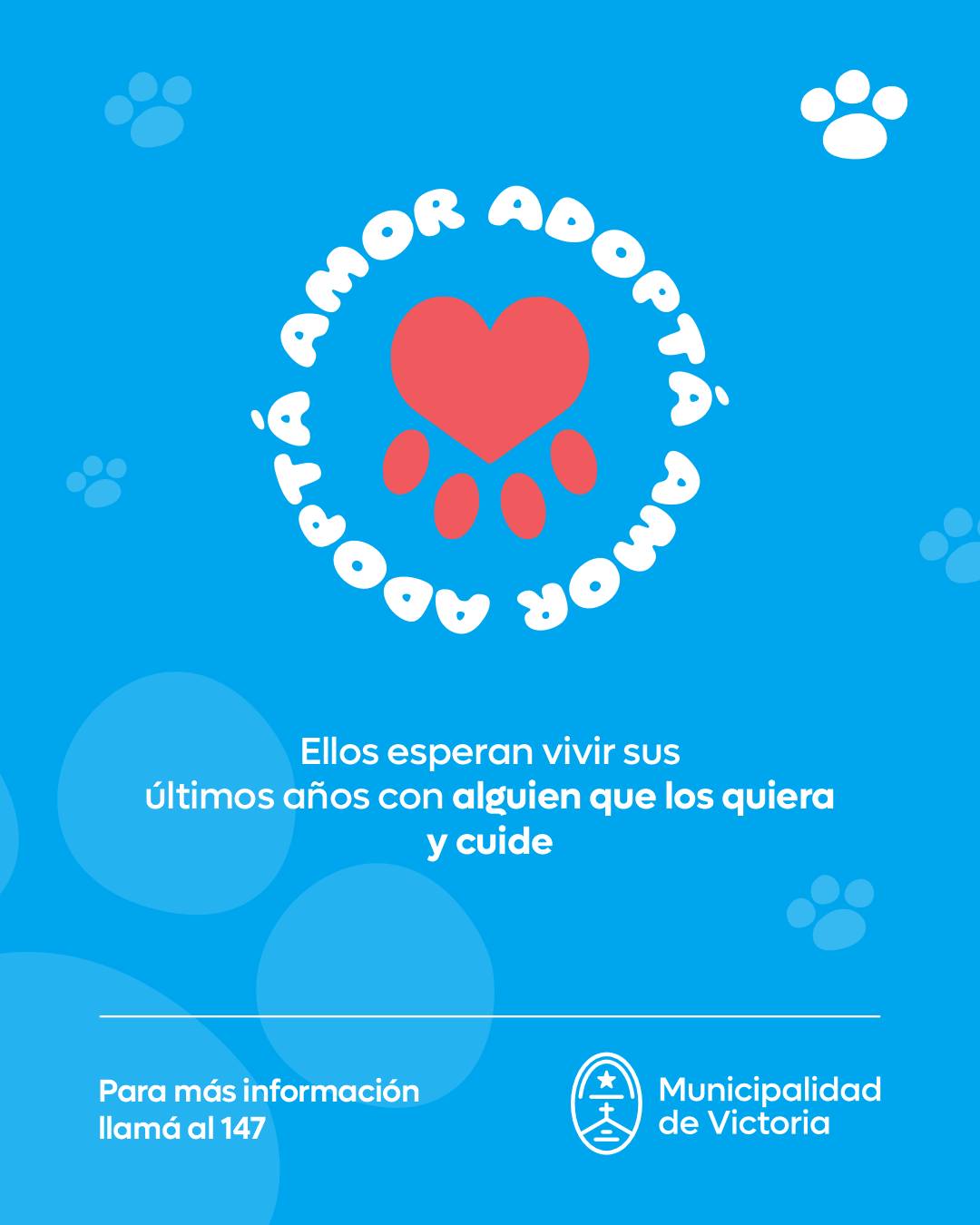 Adopción responsable: Ellas esperan ser adoptadas