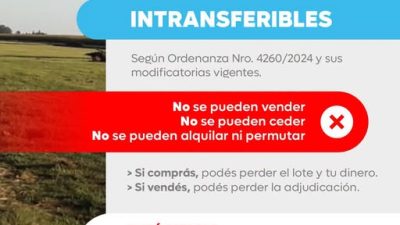 Ordenanza Nro. 4260/2024 y sus modificatorias vigentes