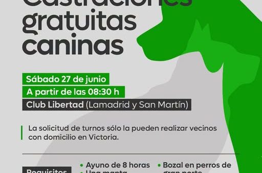 Castraciones caninas en el Club Libertad