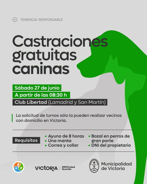 Castraciones caninas en el Club Libertad