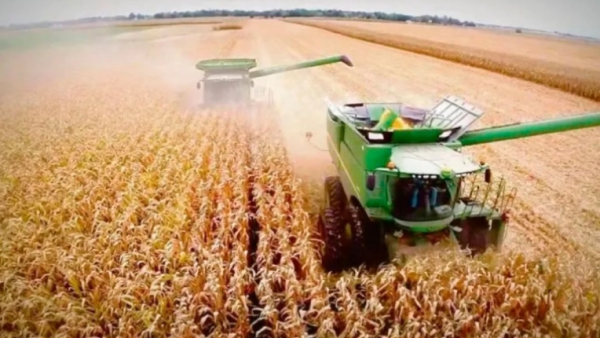 Las exportaciones de Entre Ríos crecieron un 9,5% y la provincia alcanzó el octavo puesto a nivel nacional