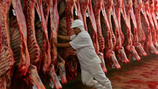 La Mesa de Enlace y frigoríficos rechazaron los cambios que impulsa el Gobierno al Instituto de Promoción de Carne Vacuna