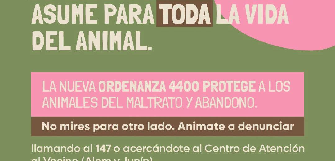 Adopción de Perros o Gatos Ordenanza N° 4400
