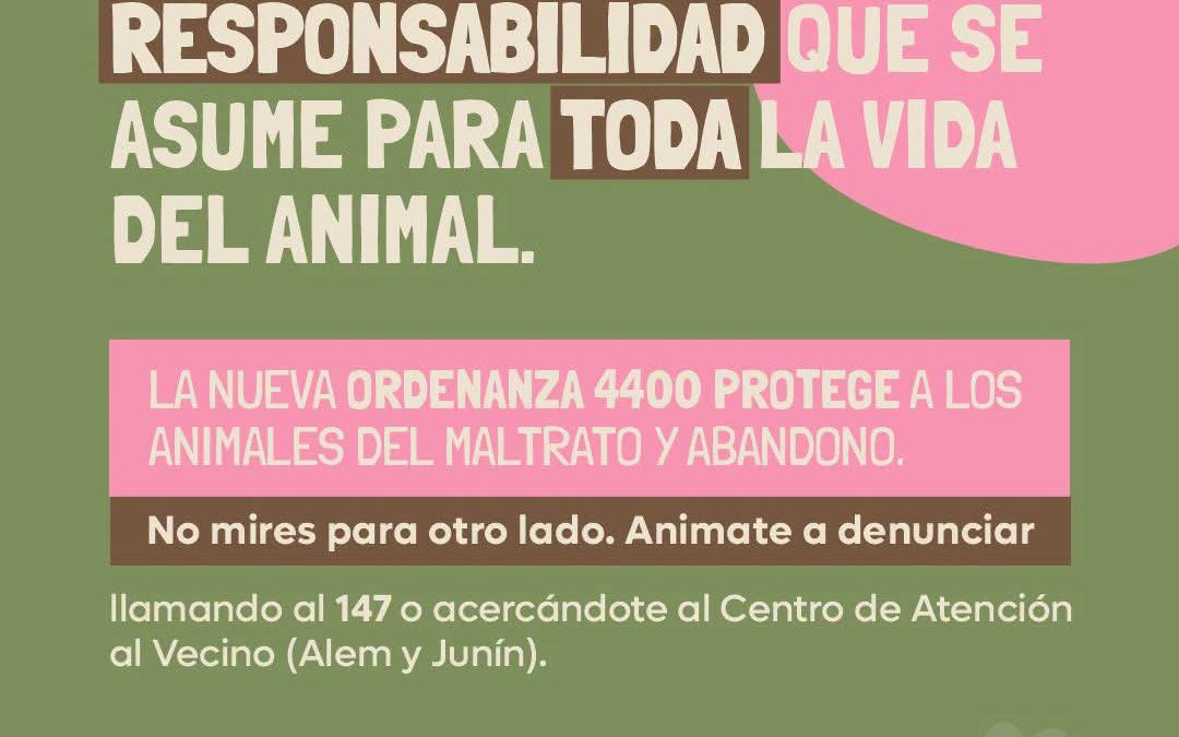 Adopción de Perros o Gatos Ordenanza N° 4400