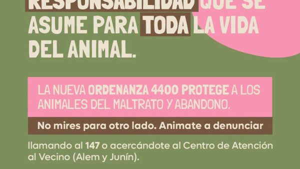 Adopción de Perros o Gatos Ordenanza N° 4400