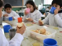 Presentaron un amparo colectivo para frenar el nuevo sistema de desayunos y meriendas escolares