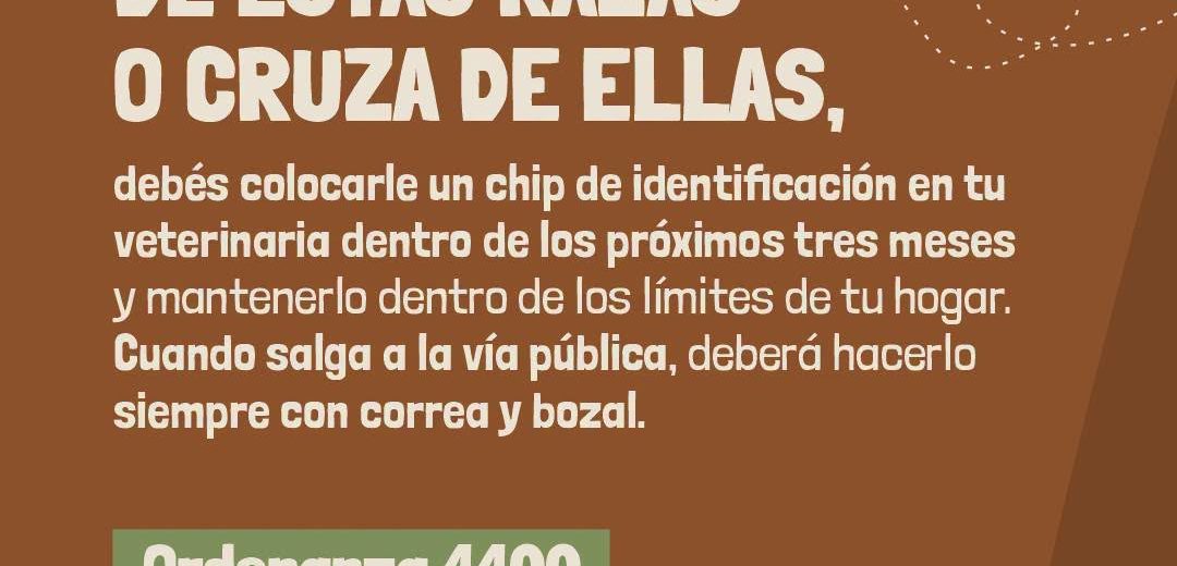 Ordenanza 4400