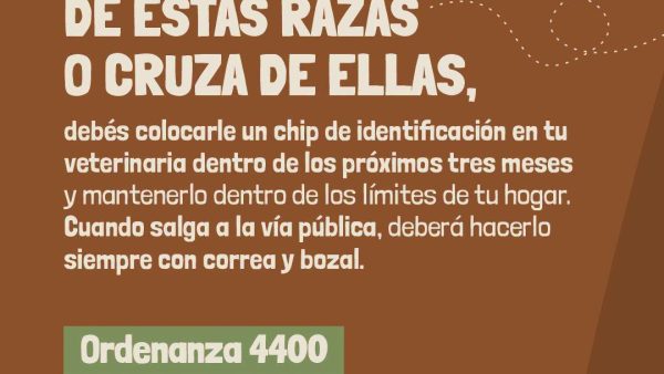 Ordenanza 4400