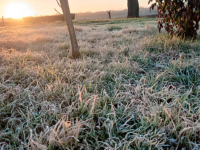 Rige una alerta por frío extremo: qué indica el pronóstico del tiempo para Entre Ríos