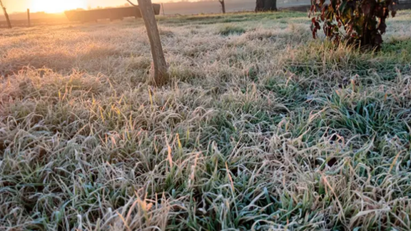 Rige una alerta por frío extremo: qué indica el pronóstico del tiempo para Entre Ríos