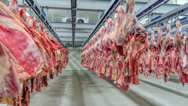Estados Unidos excluyó a Argentina de la nueva cuota de importación de carne sin aranceles