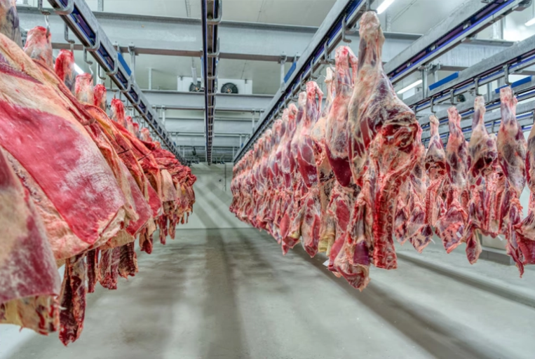 Estados Unidos excluyó a Argentina de la nueva cuota de importación de carne sin aranceles