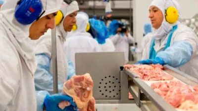 Reino Unido reabrió su mercado para los productos avícolas argentinos