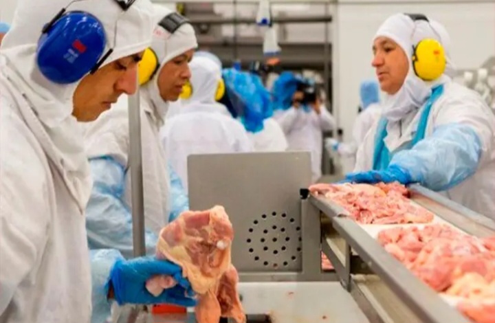 Reino Unido reabrió su mercado para los productos avícolas argentinos