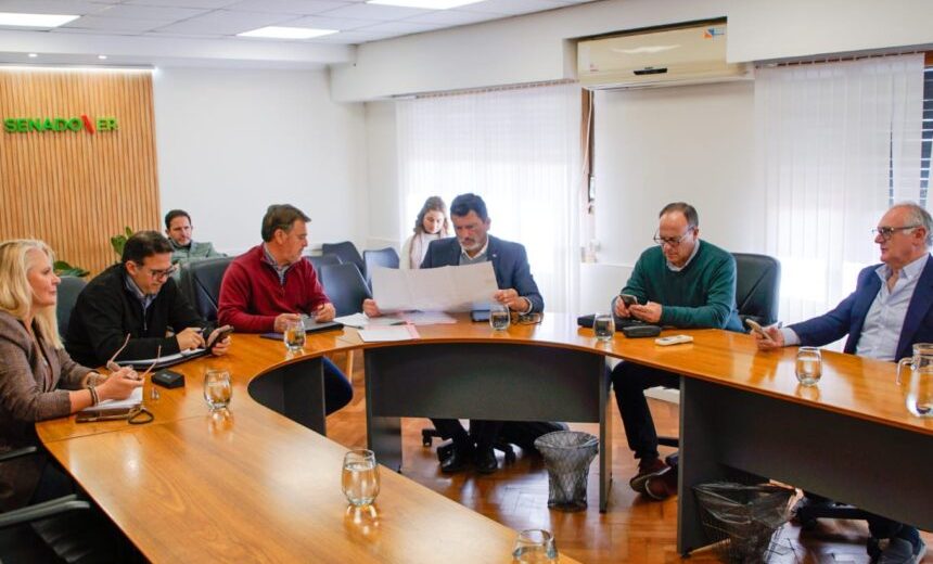Dictamen favorable para proyectos productivos