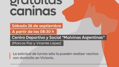 Castraciones Caninas en el Primer Cuartel