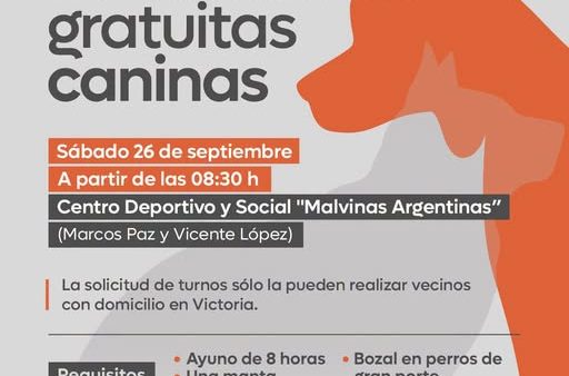Castraciones Caninas en el Primer Cuartel
