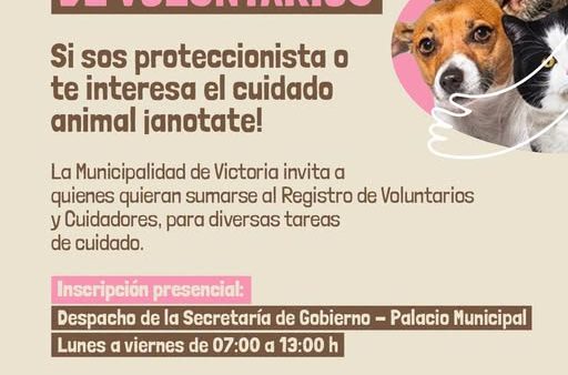 Registro de Voluntarios