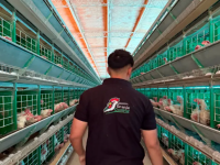 Estudiante entrerriano creó una aplicación para granjas que ya gestiona datos de casi 400.000 aves