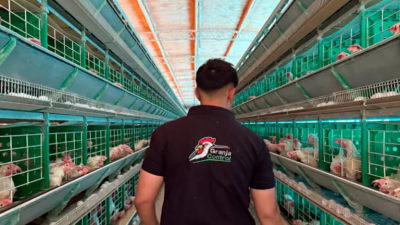 Estudiante entrerriano creó una aplicación para granjas que ya gestiona datos de casi 400.000 aves