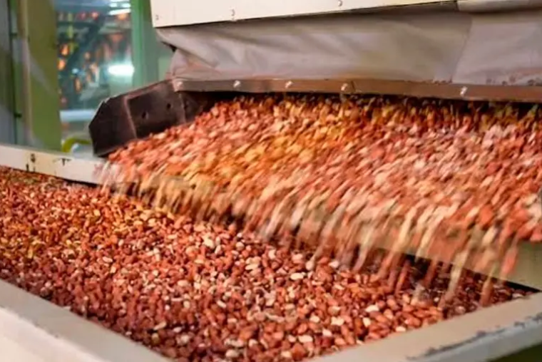 Histórica empresa de maní pidió la quiebra: tiene una deuda de más de $20.000 millones