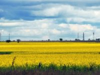 Entre Ríos se encamina a la primavera con lluvias desparejas y fuertes cambios térmicos