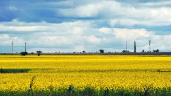Entre Ríos se encamina a la primavera con lluvias desparejas y fuertes cambios térmicos