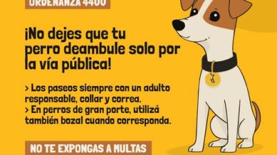 Tenencia Responsable de Animales de Compañía