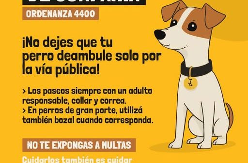 Tenencia Responsable de Animales de Compañía