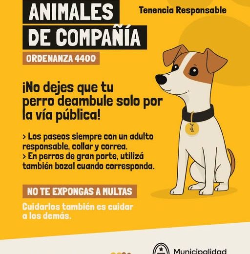 Tenencia Responsable de Animales de Compañía